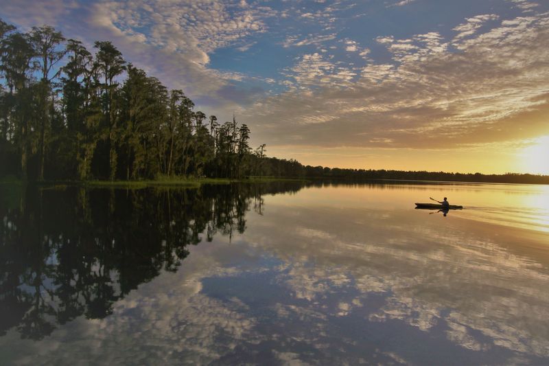 Lake Louisa: Canine Water Sports Heaven