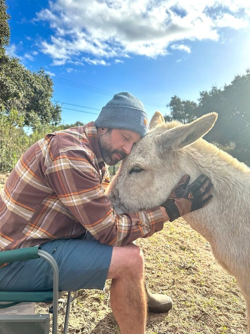 Whisper Therapy: The Quiet Revolution In Animal Assistance