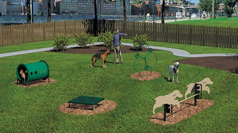 Designate A Play Area