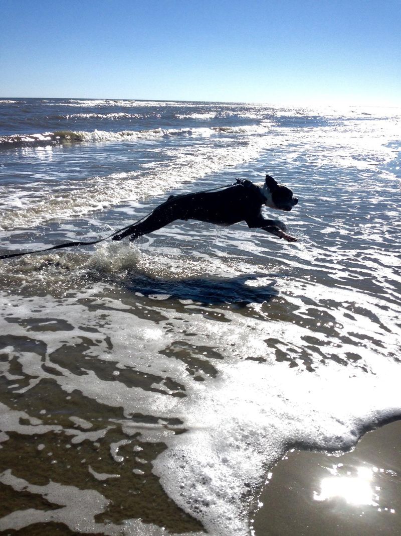 Kiawah Beachwalker Park (Kiawah Island)