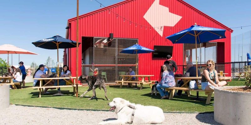 The Garage Burgers & Beer