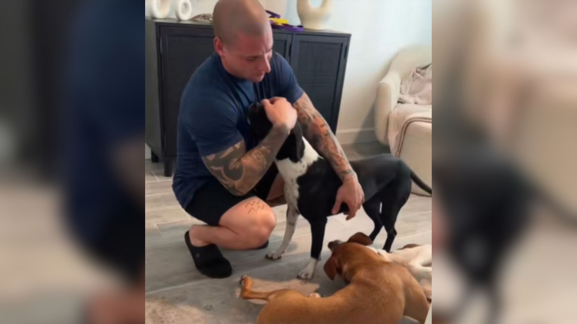 Florida Dog’s Reaction To Feeling Loved For The First Time Leaves The Internet In Tears