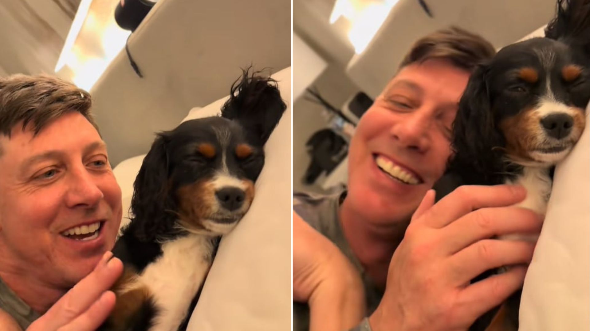 Florida Owner Tries To Wake Up His Dog But Fails, The Reason Is Hilarious