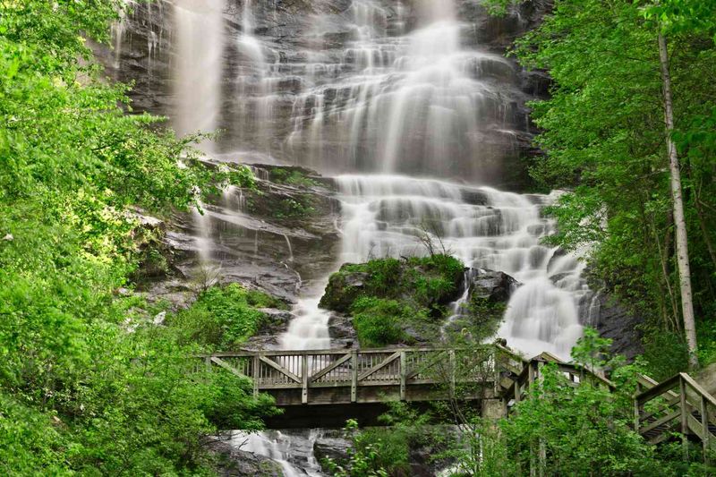 Georgia: Southern Chipmunk Hideaway