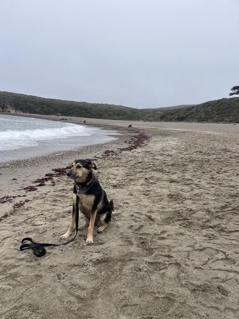Montaña de Oro State Park