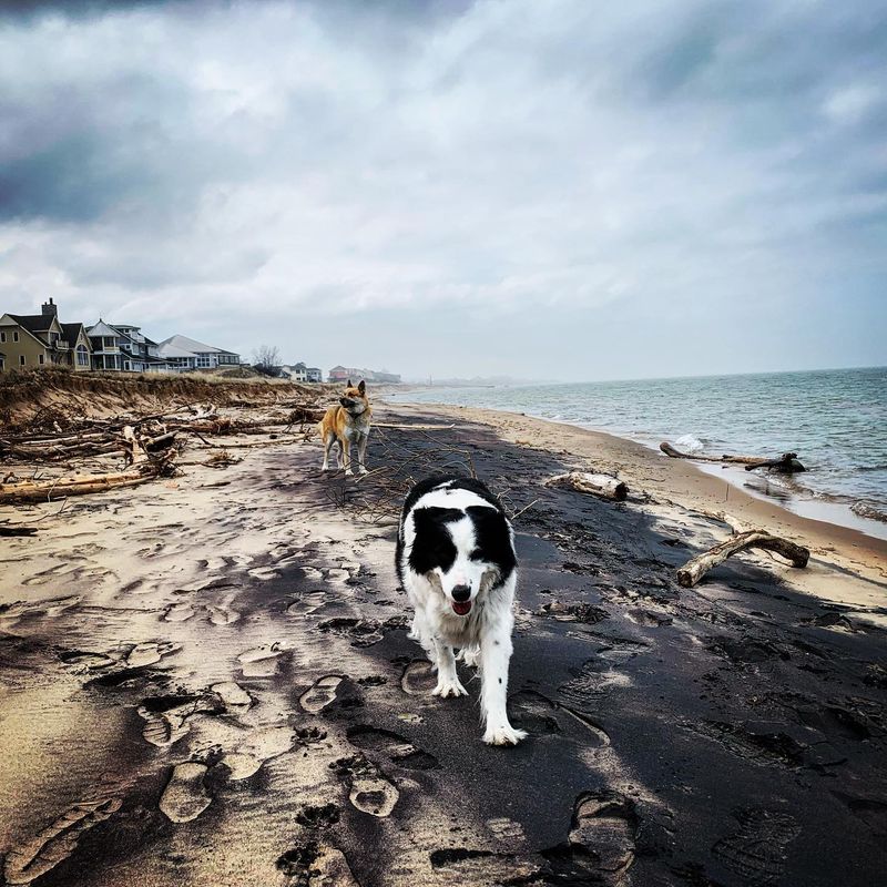 Mile Scenic Turnout Beach – Roadside Revelation