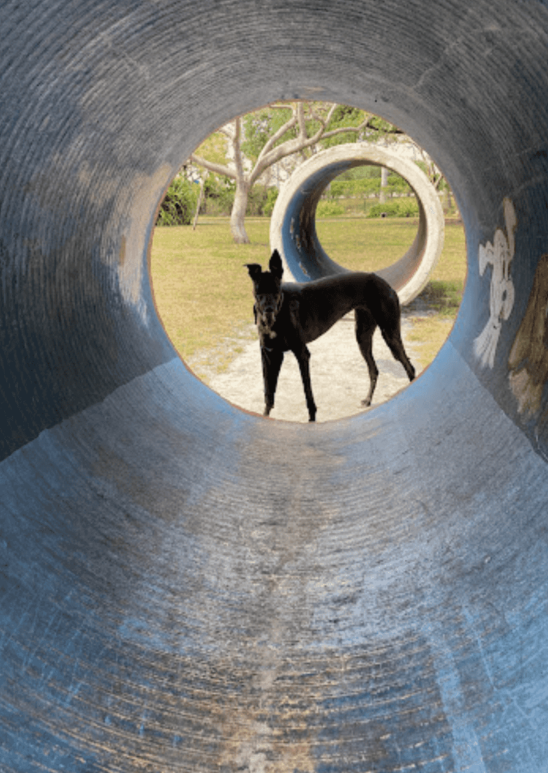 Amelia Earhart Bark Park – Hialeah