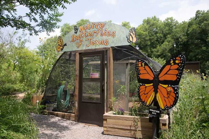 Heard Natural Science Museum And Wildlife Sanctuary – McKinney