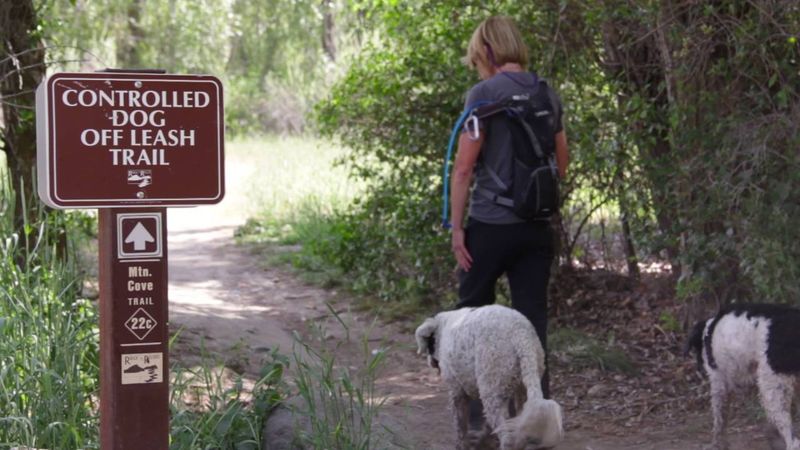 Corrals Trail #31 – Boise Ridge-To-Rivers