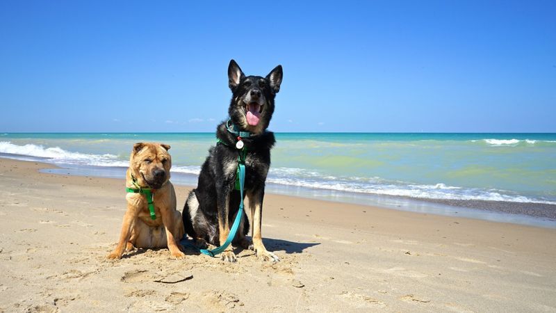 Indiana Dunes National Park (Indiana)