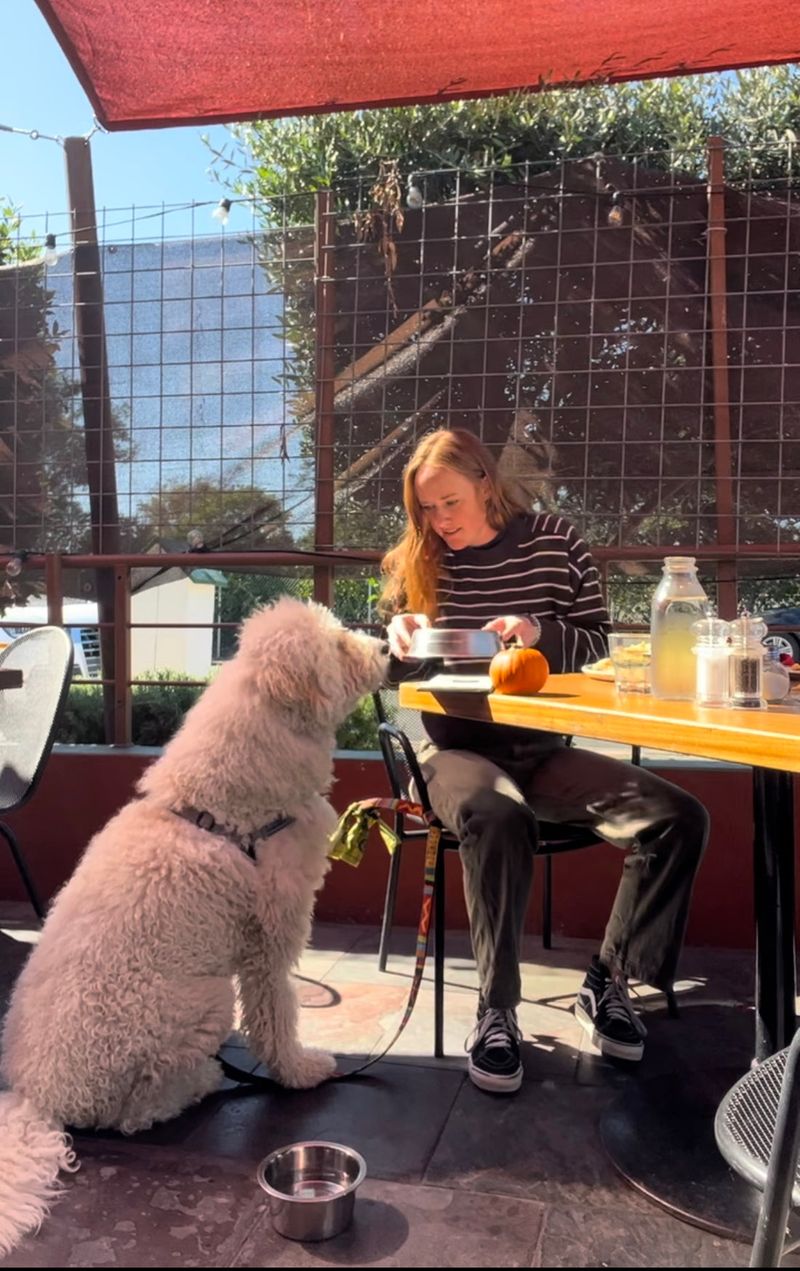 Sidewalk Cafe Superstar
