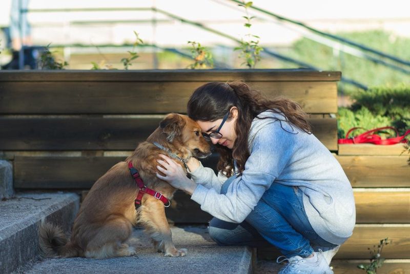 Teach Gentle Handling & Respect Puppy Signals