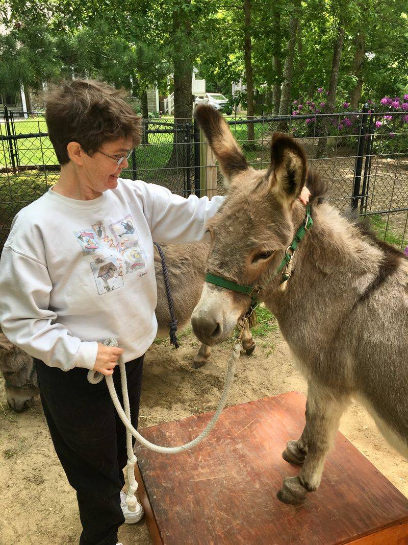 Fast Friends: The Science Behind Human-Donkey Bonding