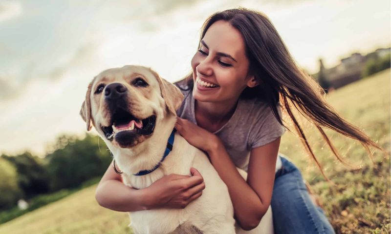 Labrador Retriever: The Gentle Soul with a Big Heart