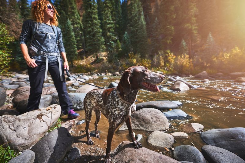 Steamboat Springs' Alpine Refuge