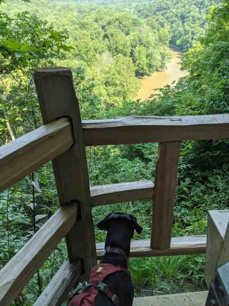 Mammoth Cave National Park (Kentucky)