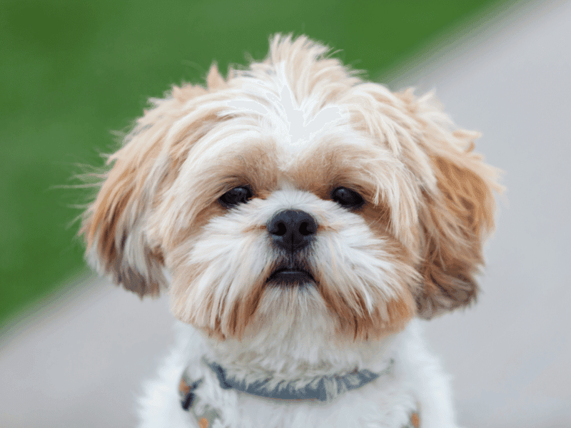Daily Face-Wipe Ritual Grooming Hack