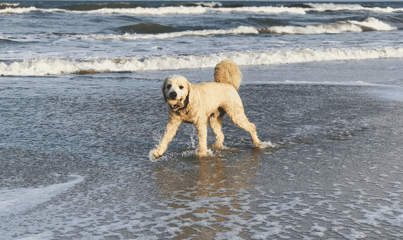 Canova Beach Park – Melbourne