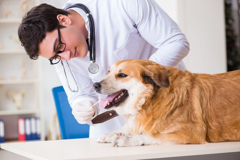 Schedule A Comprehensive Senior Health Exam