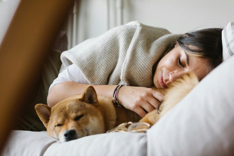 Curled Cozy Sleeps Near You