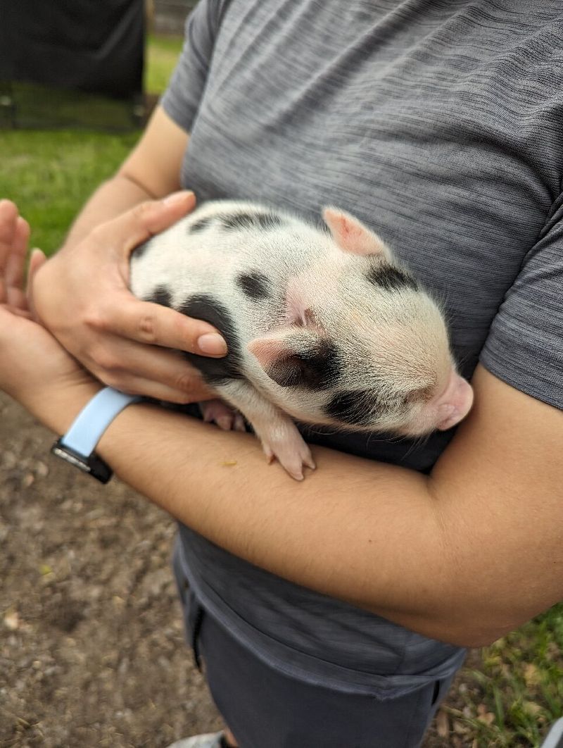 The Dunham Farm – Burleson