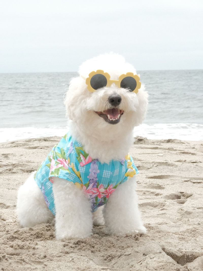 Owns Sunglasses (Or At Least Tries)