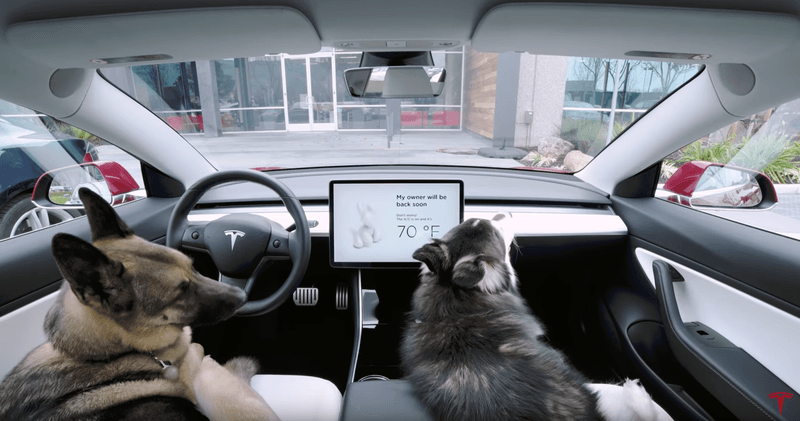 Doesn't Flinch At Teslas