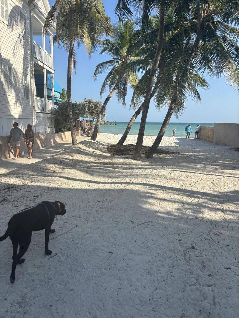 Key West Dog Beach – Key West