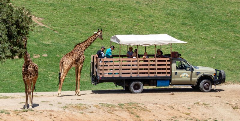 San Diego Zoo – California's Crown Jewel