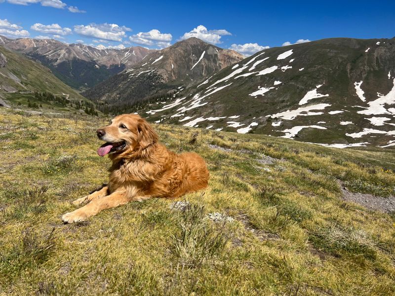 Built-In Trail Manners