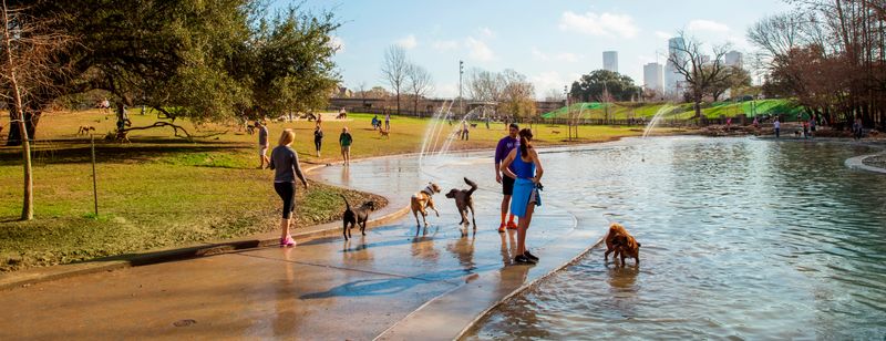 Abundant Dog Parks