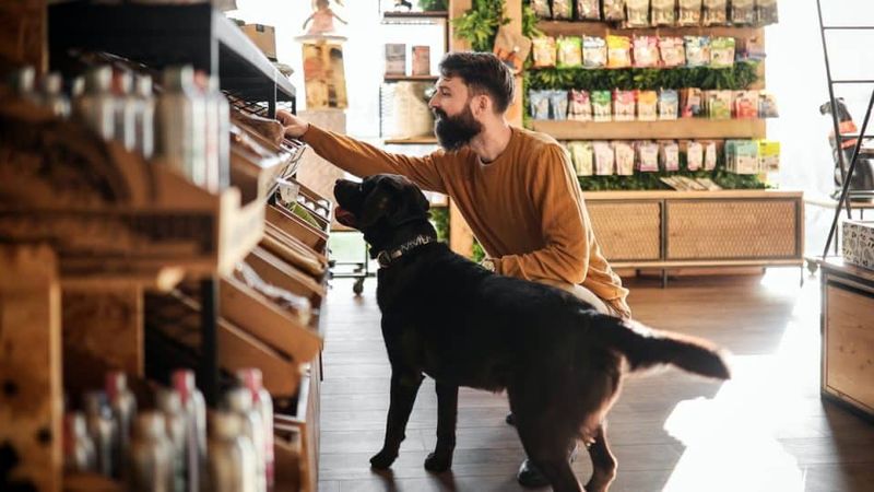 Limited Access to Pet-Friendly Spaces