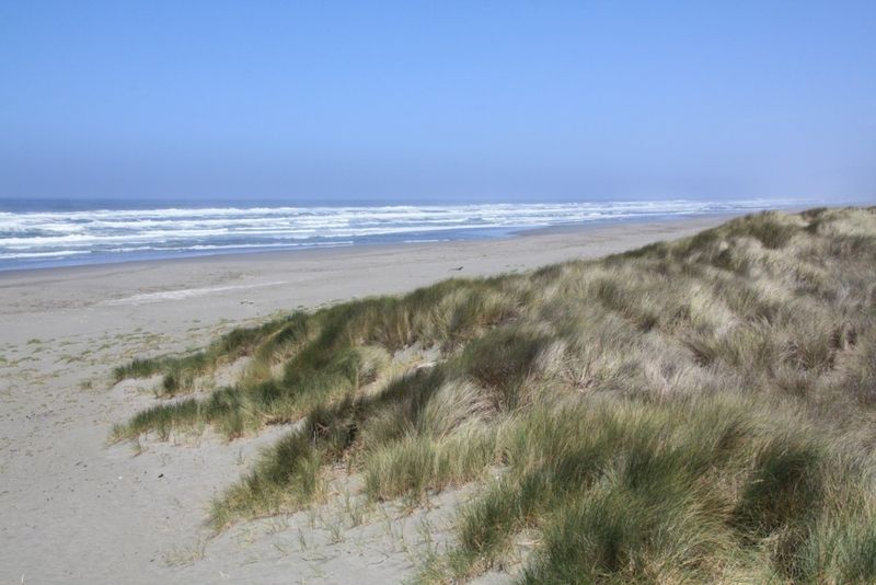Ma-le'l Dunes – Arcata, CA
