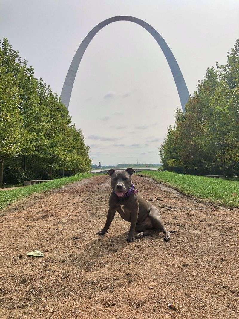 Gateway Arch National Park (Missouri)