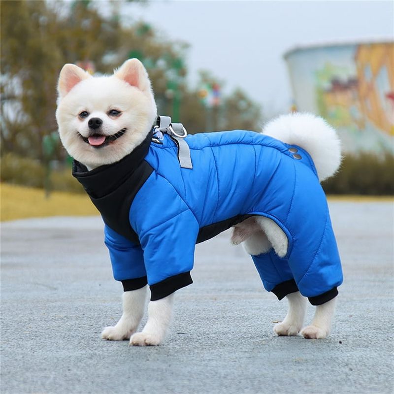 Stylish Winter Wardrobe