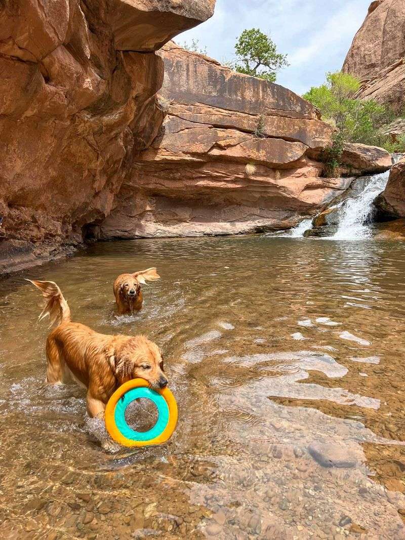 Hiking & Outdoor Play