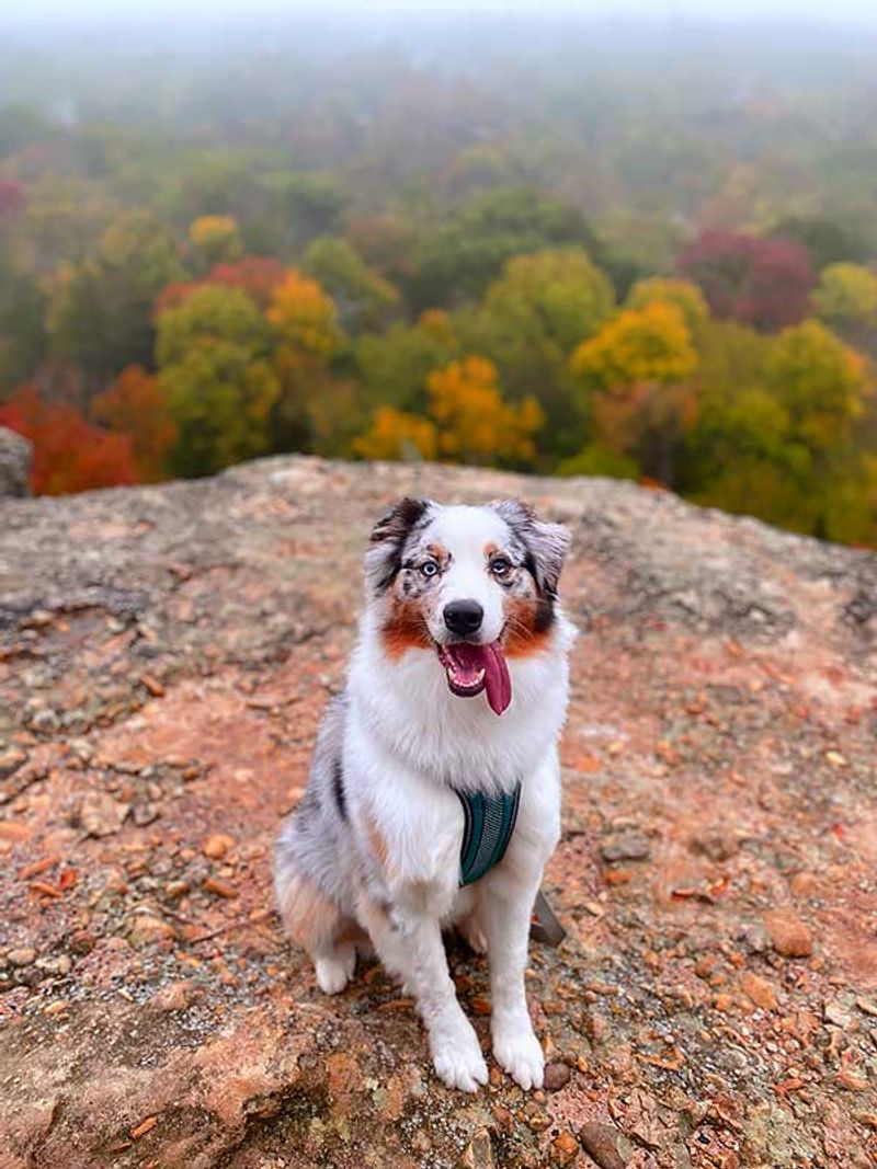 Coat Colors Perfectly Complement New Mexico Photography