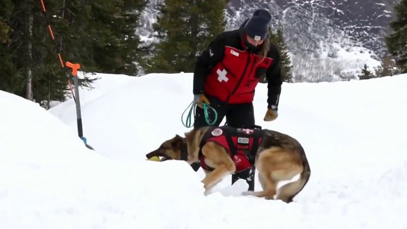 Washington's Wilderness Rescuers