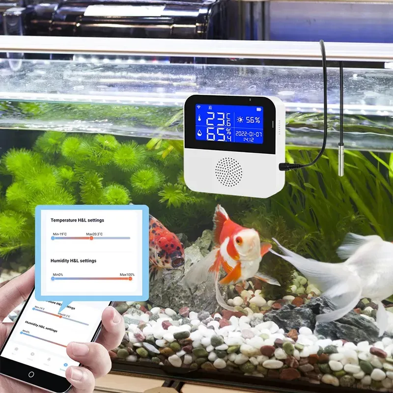 Utilize Automation And LoT Technologies