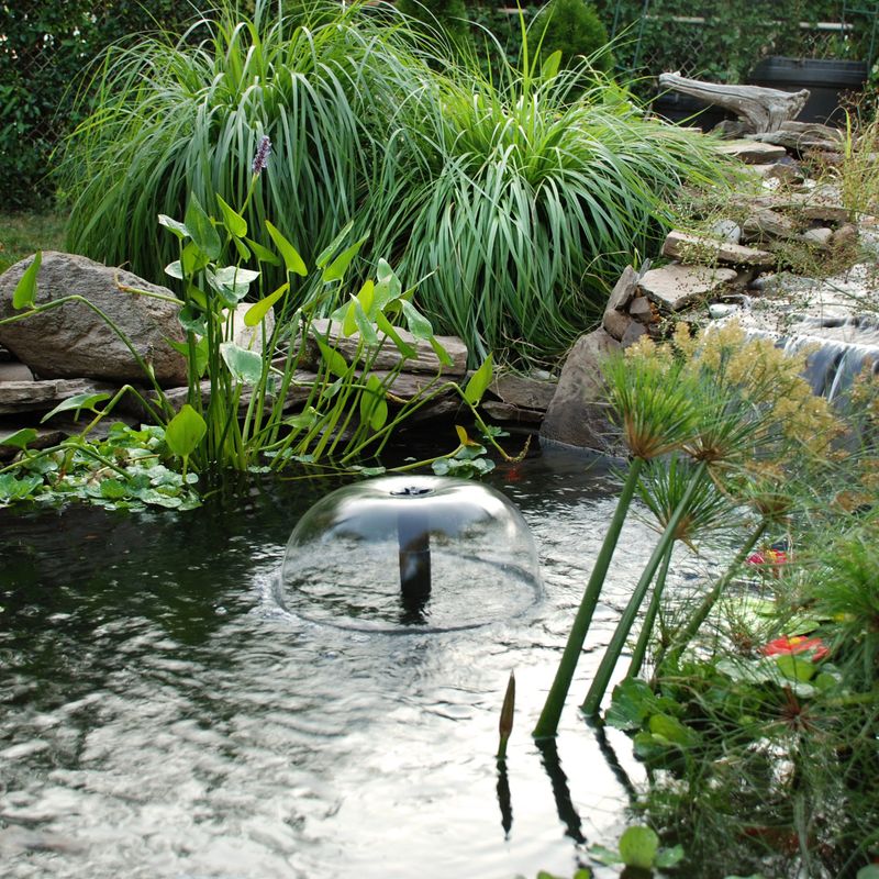 Optimize Water Circulation And Aeration