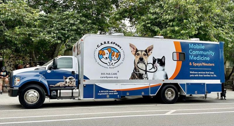 Decline In Spay/Neuter Services