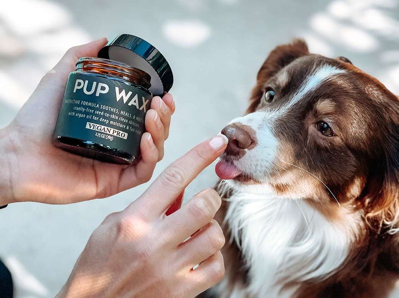 Paw Balm Magic