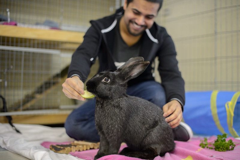 Progressive Animal Protection Laws