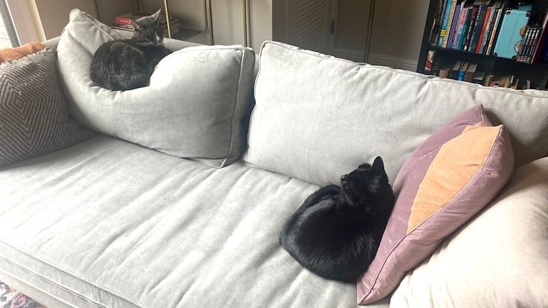 Under the Couch Cushions: The Sofa Submarine