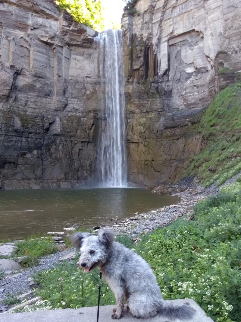 Taughannock Falls State Park