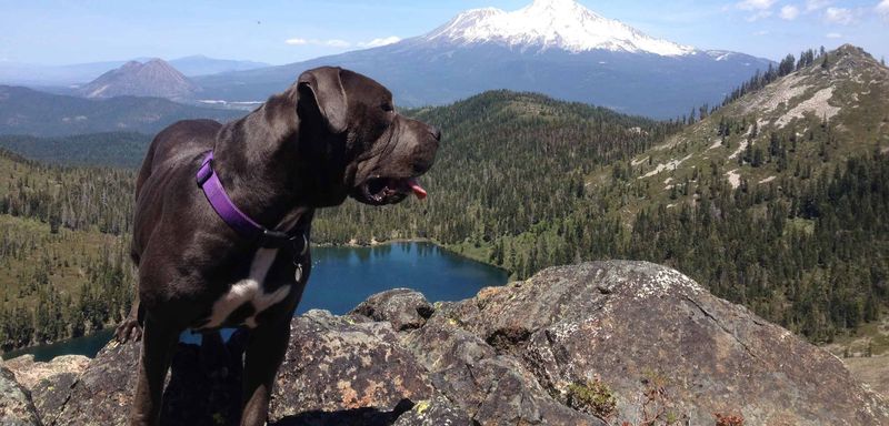Redding to Mount Shasta
