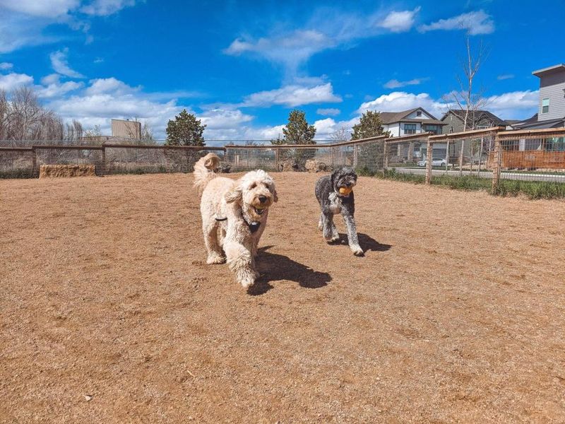 Carson's Private Dog Park – Littleton