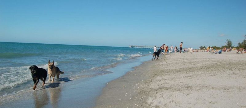 Brohard Paw Park – Venice