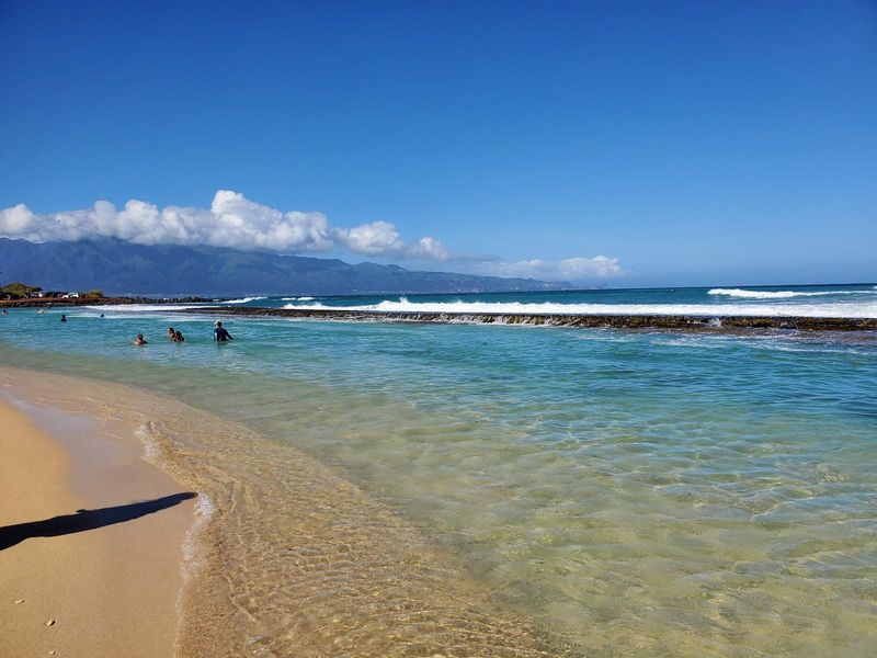 H.A. Baldwin Beach Park: Maui's Canine Paradise