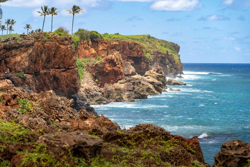Māhāʻulepū Beach: Kauaʻi's Rugged Canine Adventure